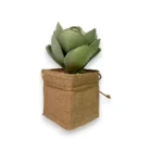 dekoratif-mini-jut-sukulent-modeli