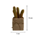 dekoratif-yapay-kaktus-olculeri