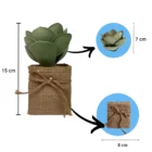 dogal-gorunumlu-sukulent-jut-saksi-olculer