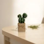 ev-icin-jut-saksili-yapay-kaktus