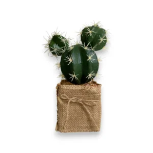 jut-saksili-yapay-kaktus-dekorasyon