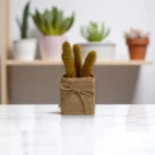 jut-saksili-yapay-kaktus-ev-ofis