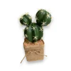 kucuk-jut-saksili-yapay-kaktus