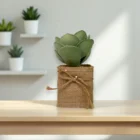 kucuk-rustik-sukulent-bitki-dekor