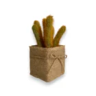 modern-dekoratif-yapay-kaktus-jut