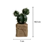 modern-jut-saksili-yapay-kaktus-olculeri