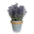 mor-tomurcuk-yapay-lavanta-saksisi-20cm-dekoratif-plastik-cicek-1