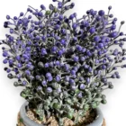 mor-tomurcuk-yapay-lavanta-saksisi-20cm-dekoratif-plastik-cicek-4