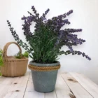 mor-yapay-lavanta-saksili-28cm-gercekci-dekoratif-cicek-3
