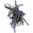 mor-yapay-lavanta-saksili-28cm-gercekci-dekoratif-cicek-4