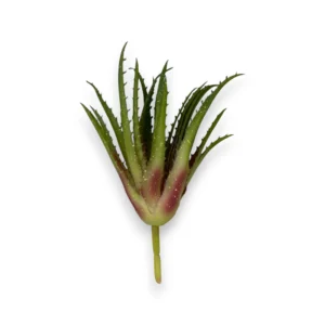 yapay-aloevera-sukulent-dekorasyon