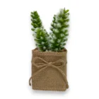 yapay-kaktus-mini-saksida-gercekci-dekoratif-bitki