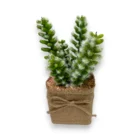 yapay-kaktus-mini-saksida-gercekci-dekoratif-bitki-2