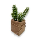 yapay-kaktus-mini-saksida-gercekci-dekoratif-bitki-3