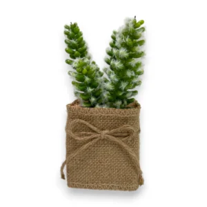 yapay-kaktus-mini-saksida-gercekci-dekoratif-bitki