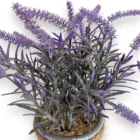 yapay-lavanta-saksili-25cm-plastik-dekoratif-cicek-2