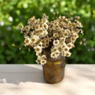 yapay-papatya-dugun-dekorasyonu-3