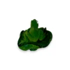 minyatur-kurbaga-figuru-3